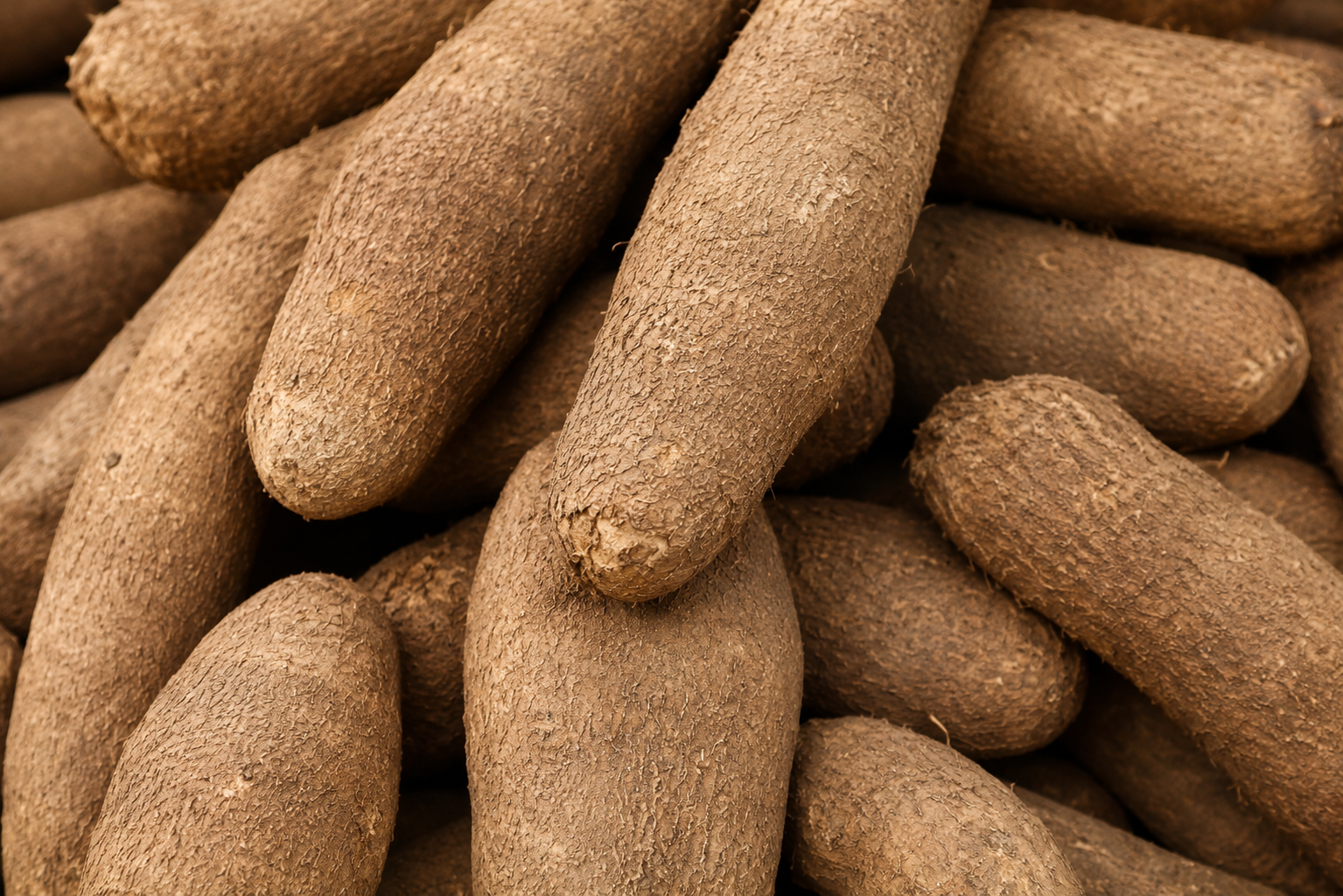 Yam